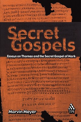 Kniha Secret Gospels Meyer