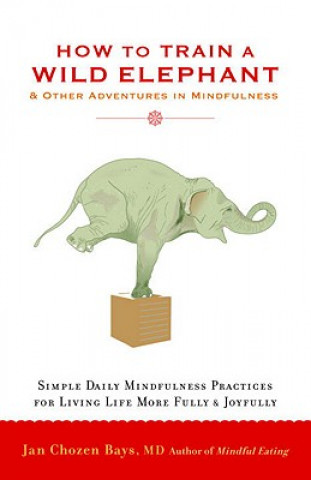 Kniha How to Train a Wild Elephant Jan Chozen Bays