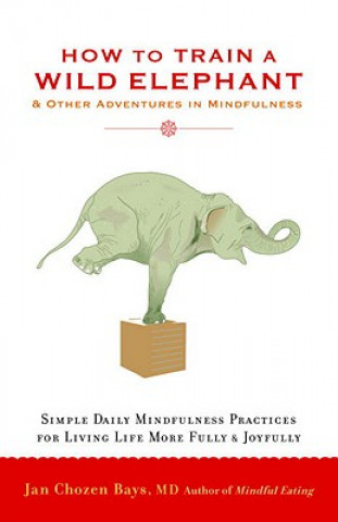 Libro How to Train a Wild Elephant Jan Chozen Bays