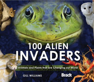 Carte 100 Alien Invaders 