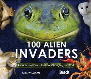 Buch 100 Alien Invaders 