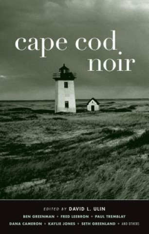 Livre Cape Cod Noir David Ulin