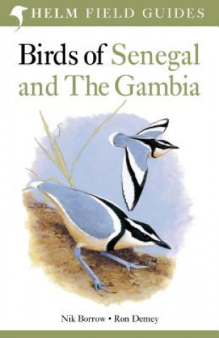 Carte Birds of Senegal and The Gambia Nik Borrow