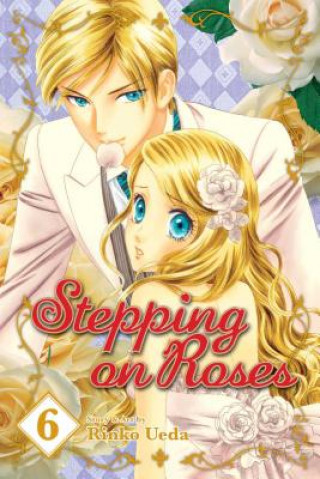Kniha Stepping on Roses, Vol. 6 Rinko Ueda