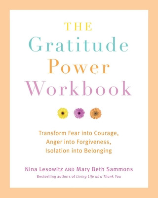 Knjiga Gratitude Power Workbook Nina Lesowitz