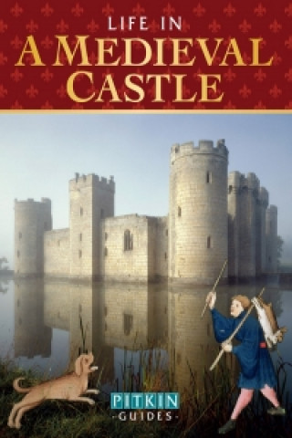 Könyv Life in a Medieval Castle Brian Williams