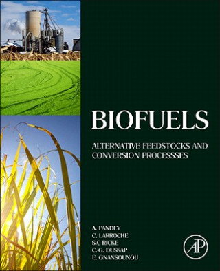 Kniha Biofuels Ashok Pandey