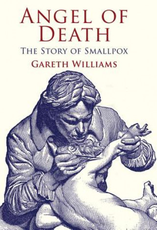 Kniha Angel of Death Gareth Williams