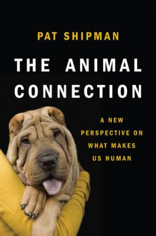 Kniha Animal Connection Pat Shipman