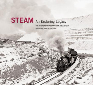 Kniha Steam: An Enduring Legacy Joel Jensen