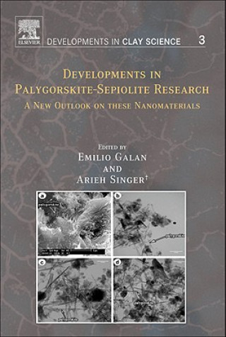 Könyv Developments in Palygorskite-Sepiolite Research Emilio Galan