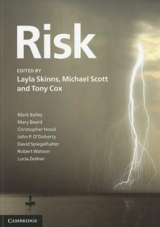 Kniha Risk Layla Skinns