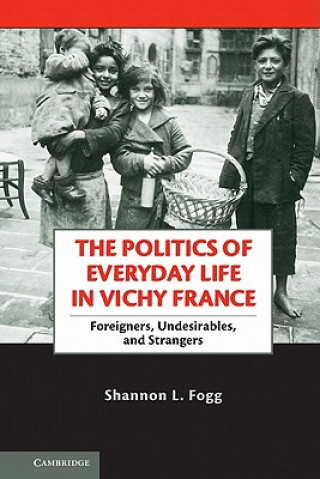Könyv Politics of Everyday Life in Vichy France Shannon L Fogg