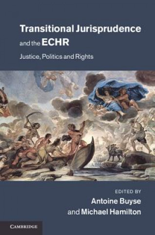 Книга Transitional Jurisprudence and the ECHR Antoine Buyse