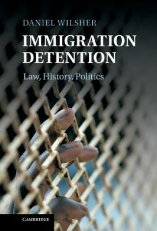 Kniha Immigration Detention Daniel Wilsher