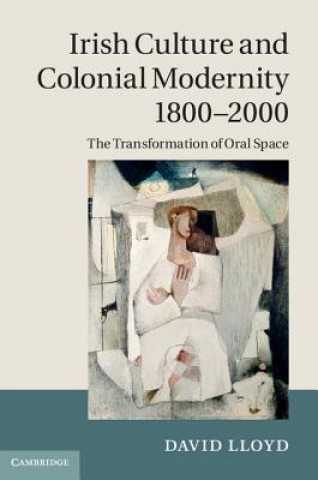 Könyv Irish Culture and Colonial Modernity 1800-2000 David Lloyd