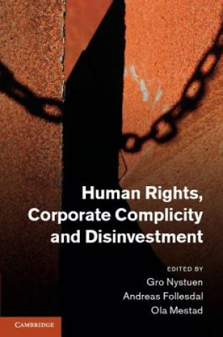 Kniha Human Rights, Corporate Complicity and Disinvestment Gro Nystuen
