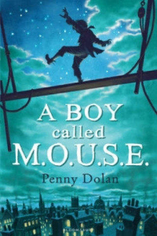 Knjiga Boy Called MOUSE Penny Dolan