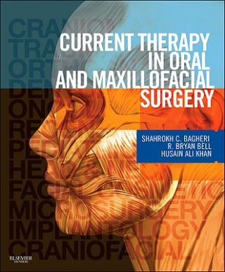 Książka Current Therapy In Oral and Maxillofacial Surgery Shahrokh C Bagheri