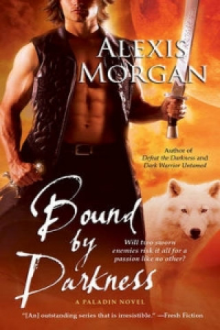 Kniha Bound by Darkness Alexis Morgan