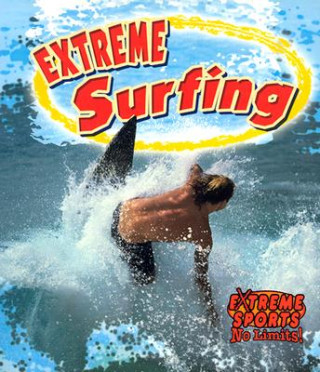 Könyv Surfing John Crossingham
