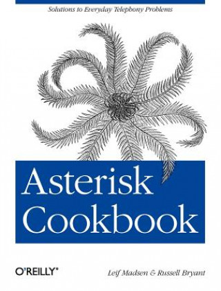 Könyv Asterisk Cookbook Leif Madsen