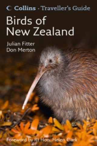Kniha Birds of New Zealand Julian Fitter