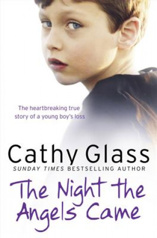 Kniha Night the Angels Came Cathy Glass