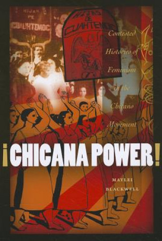 Buch !Chicana Power! Maylei Blackwell