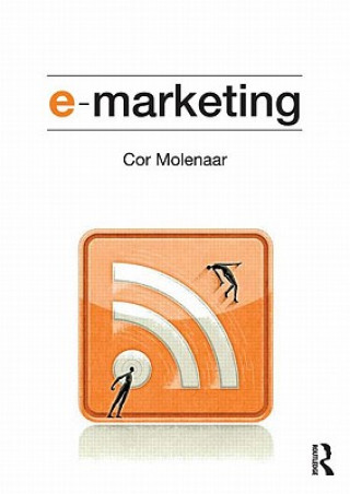 Könyv e-Marketing Molenaar