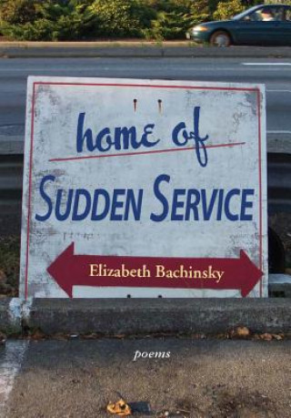 Book Home of Sudden Service Elizabeth Bachinsky