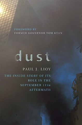 Kniha Dust Paul J Lioy