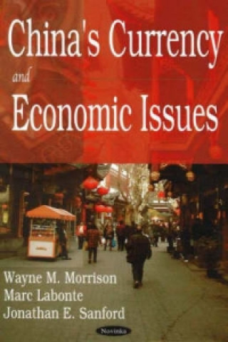 Kniha China's Currency & Economic Issues Wayne M. Morrison