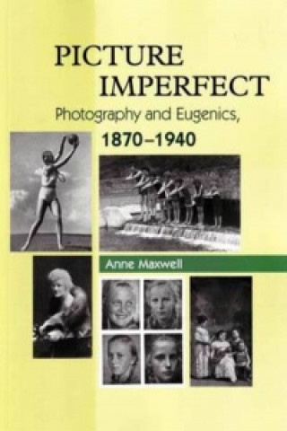 Kniha Picture Imperfect Anne Maxwell
