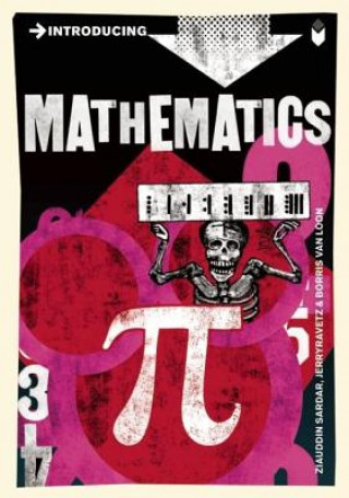Könyv Introducing Mathematics Ziauddin Sardar