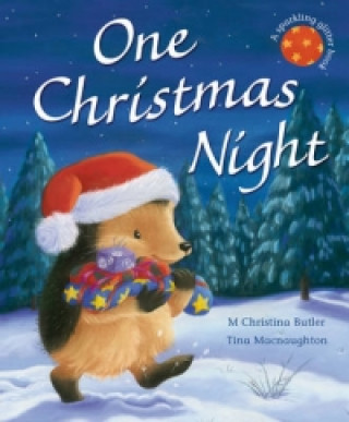 Knjiga One Christmas Night Christina Butler