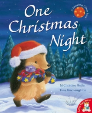 Könyv One Christmas Night Christina Butler