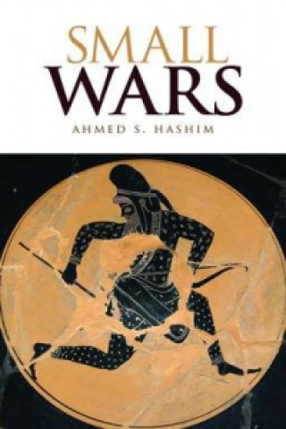Kniha Small Wars Ahmed Hashim