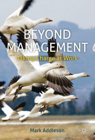 Könyv Beyond Management Mark Addleson