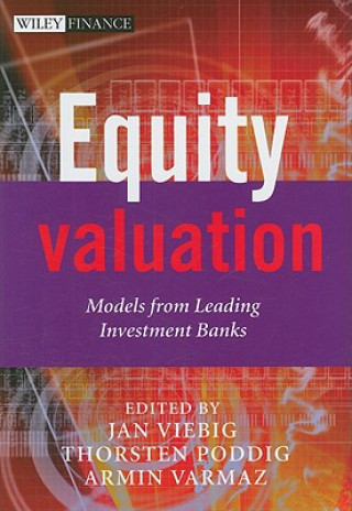 Kniha Equity Valuation - Models from Leading Investment Banks Jan Viebig