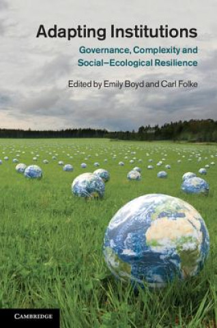 Boek Adapting Institutions Emily Boyd