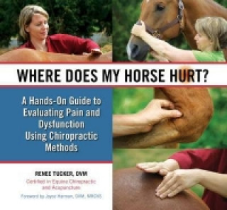 Könyv Where Does My Horse Hurt? Renee Tucker