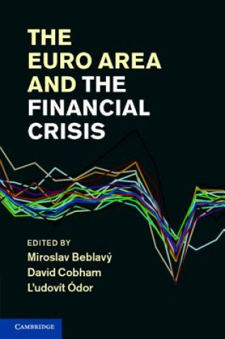 Kniha Euro Area and the Financial Crisis Miroslav Beblavy