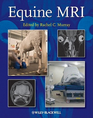 Kniha Equine MRI Rachel C Murray