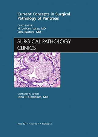 Carte Current Concepts in Surgical Pathology of the Pancreas, An Issue of Surgical Pathology Clinics Volkan Adsay