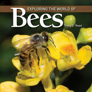 Carte Exploring the World of Bees Tracey Read