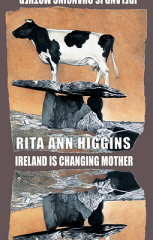 Libro Ireland Is Changing Mother Rita Anna Higgins