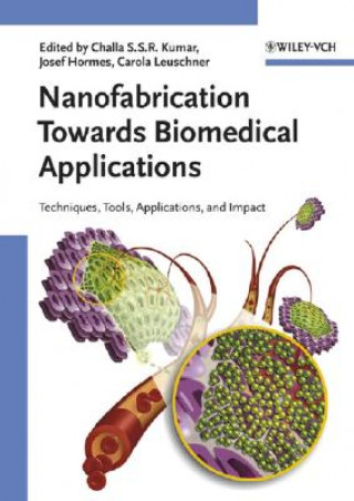 Könyv Nanofabrication Towards Biomedical Applications - Techniques, Tools, Applications and Impact Challa S. S. R. Kumar
