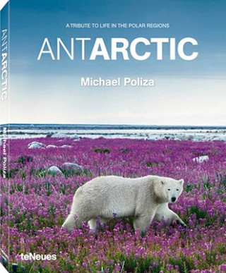 Kniha Michael Poliza Antarctic Michael Poliza