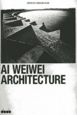 Kniha Ai WeiWei Caroline Klein
